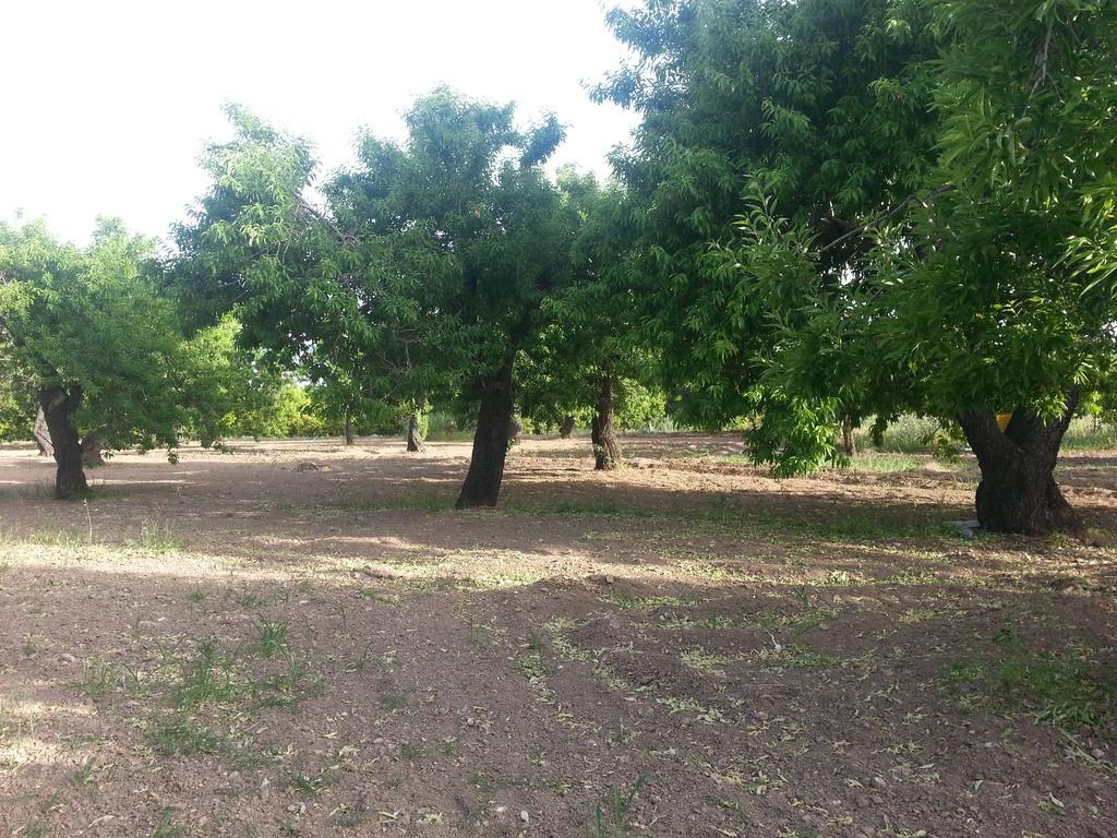 A Lumia Villa Noto Luaran gambar