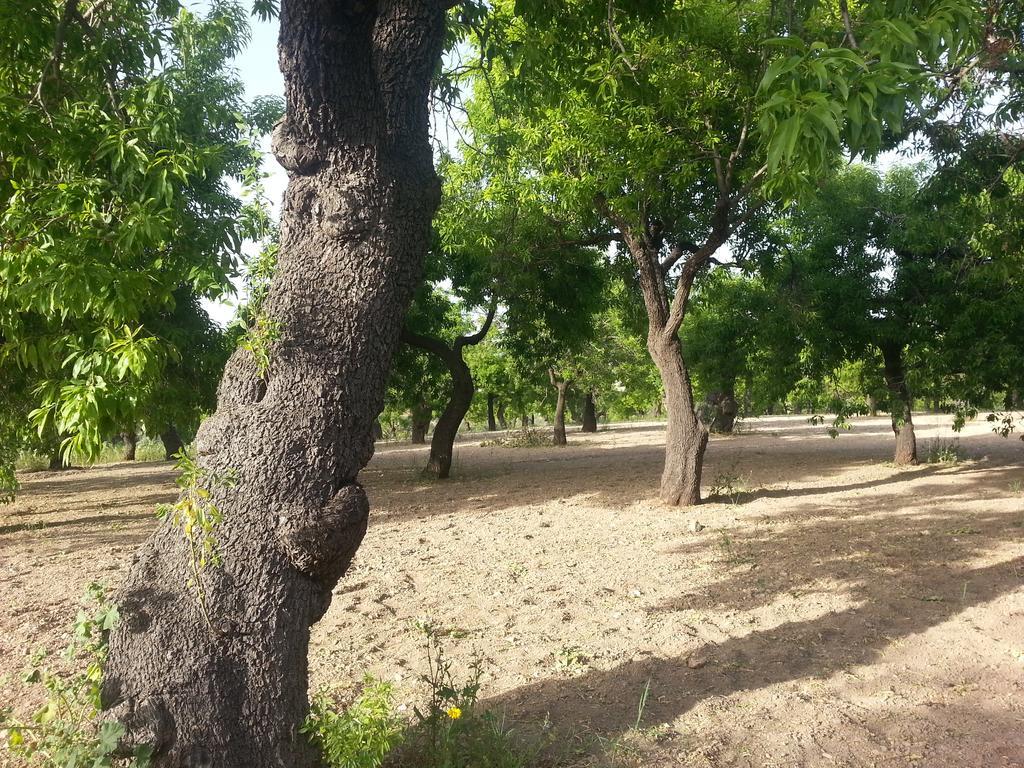 A Lumia Villa Noto Luaran gambar