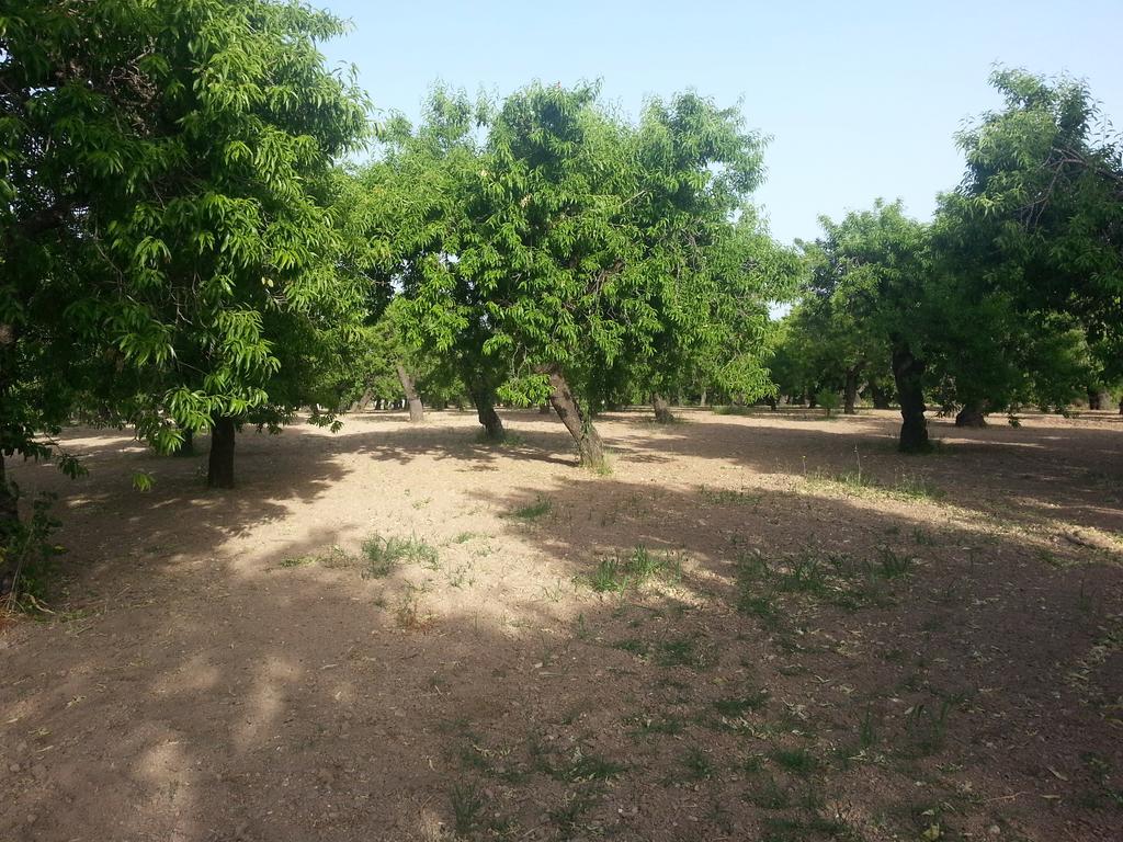 A Lumia Villa Noto Luaran gambar