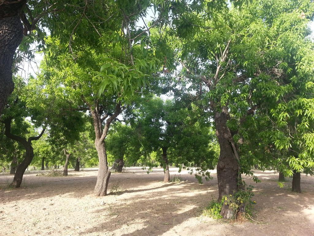 A Lumia Villa Noto Luaran gambar
