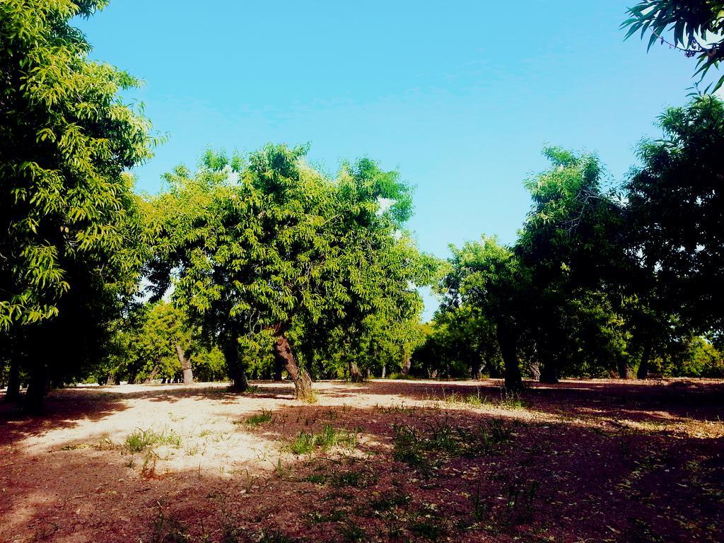A Lumia Villa Noto Luaran gambar