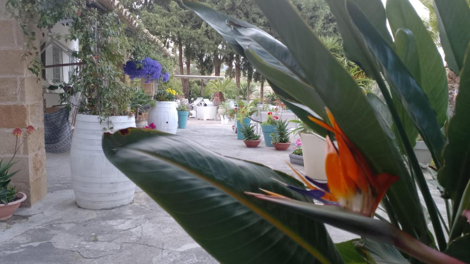 A Lumia Villa Noto Luaran gambar
