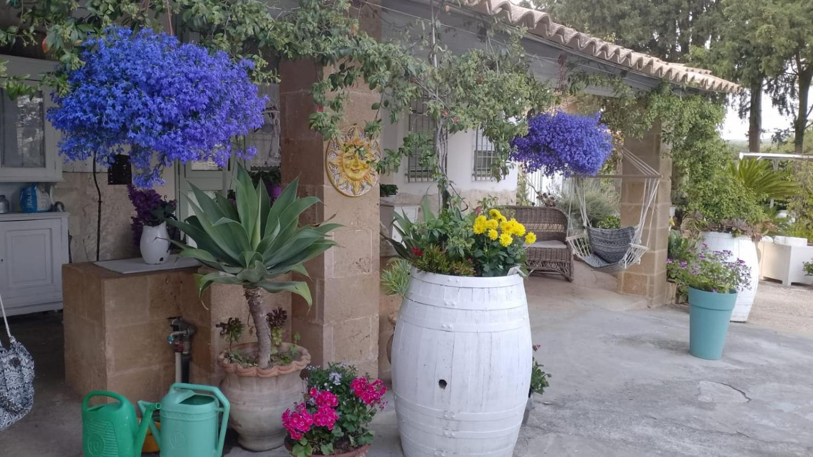 A Lumia Villa Noto Luaran gambar