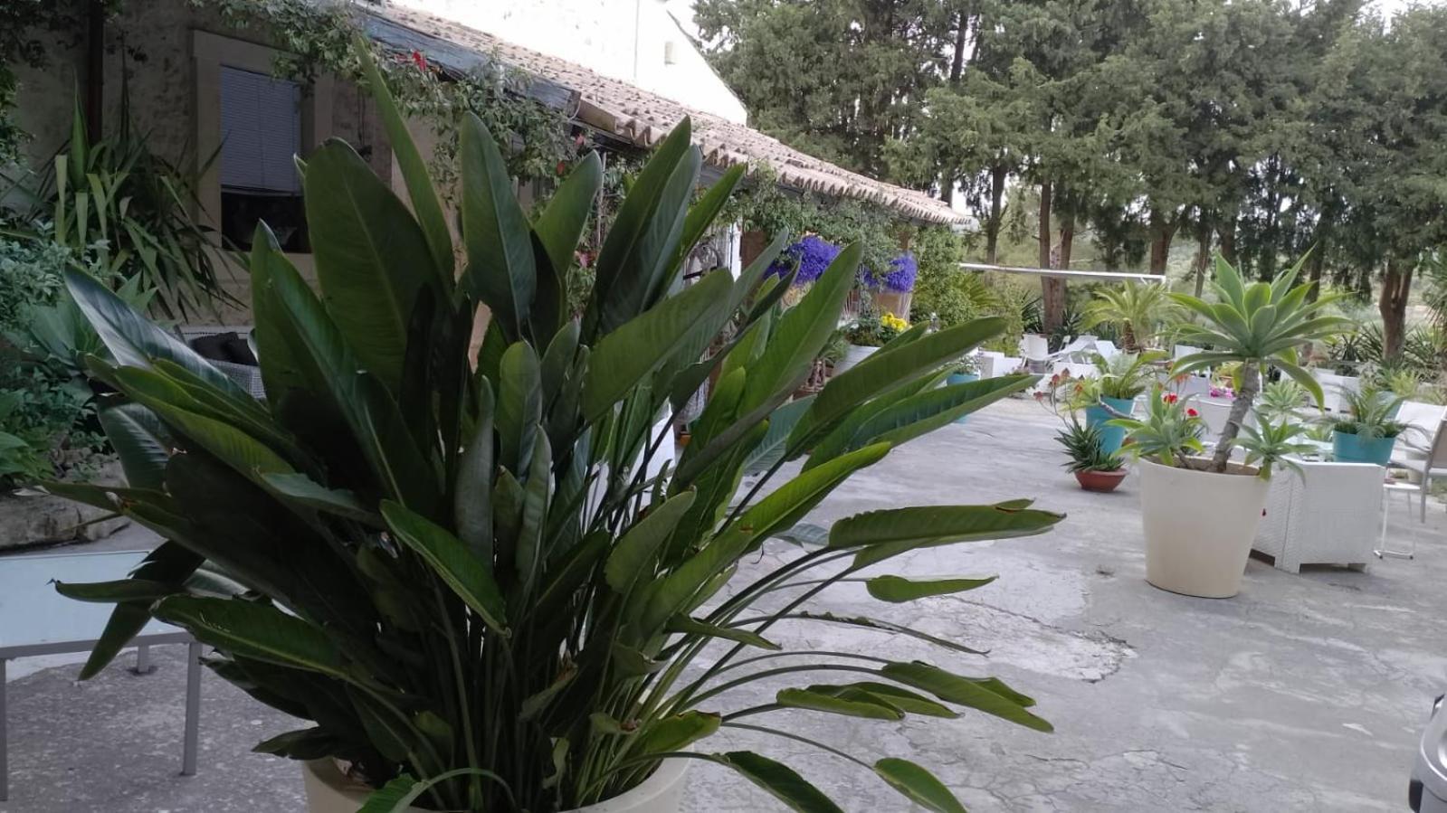 A Lumia Villa Noto Luaran gambar